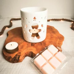 rechaud-petit-biscuit-avec-tablette